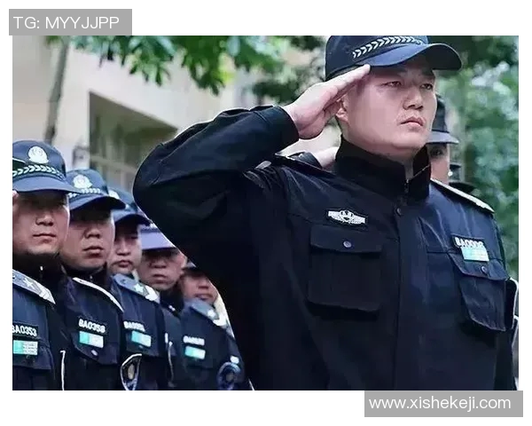 西安乒乓球队逆袭之路揭秘赛场背后的奋斗与荣耀