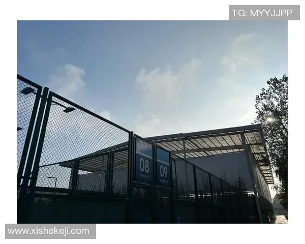 成都网球队速度分析与提升策略探讨助力竞技表现提升